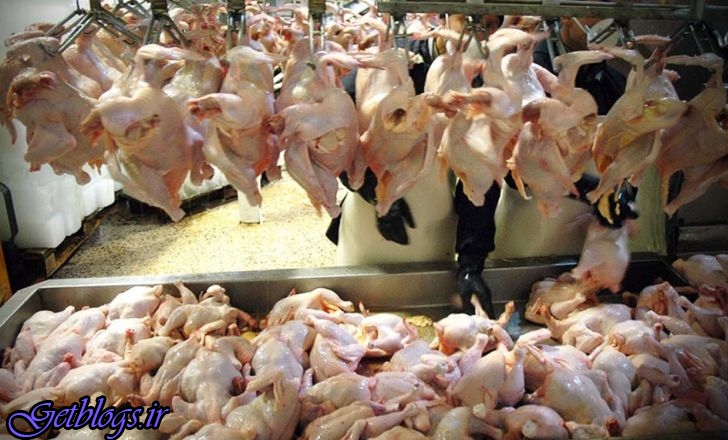 کاهش تقاضا، مرغ را ارزان کرد
